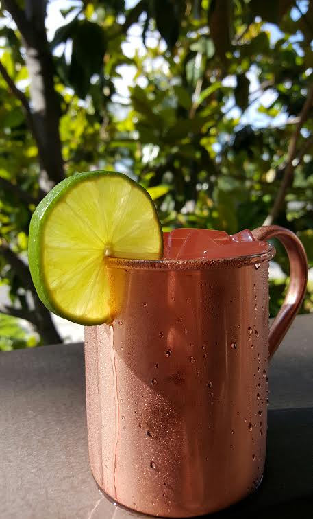 Summer Moscow Mule Alternatives With Whiskey, Gin, & Tequila